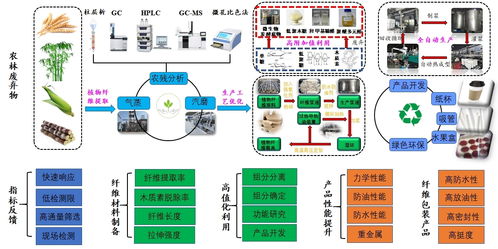 1139科技小分队丨付永前环保材料小分队助力企业开发可降解食品包装材料